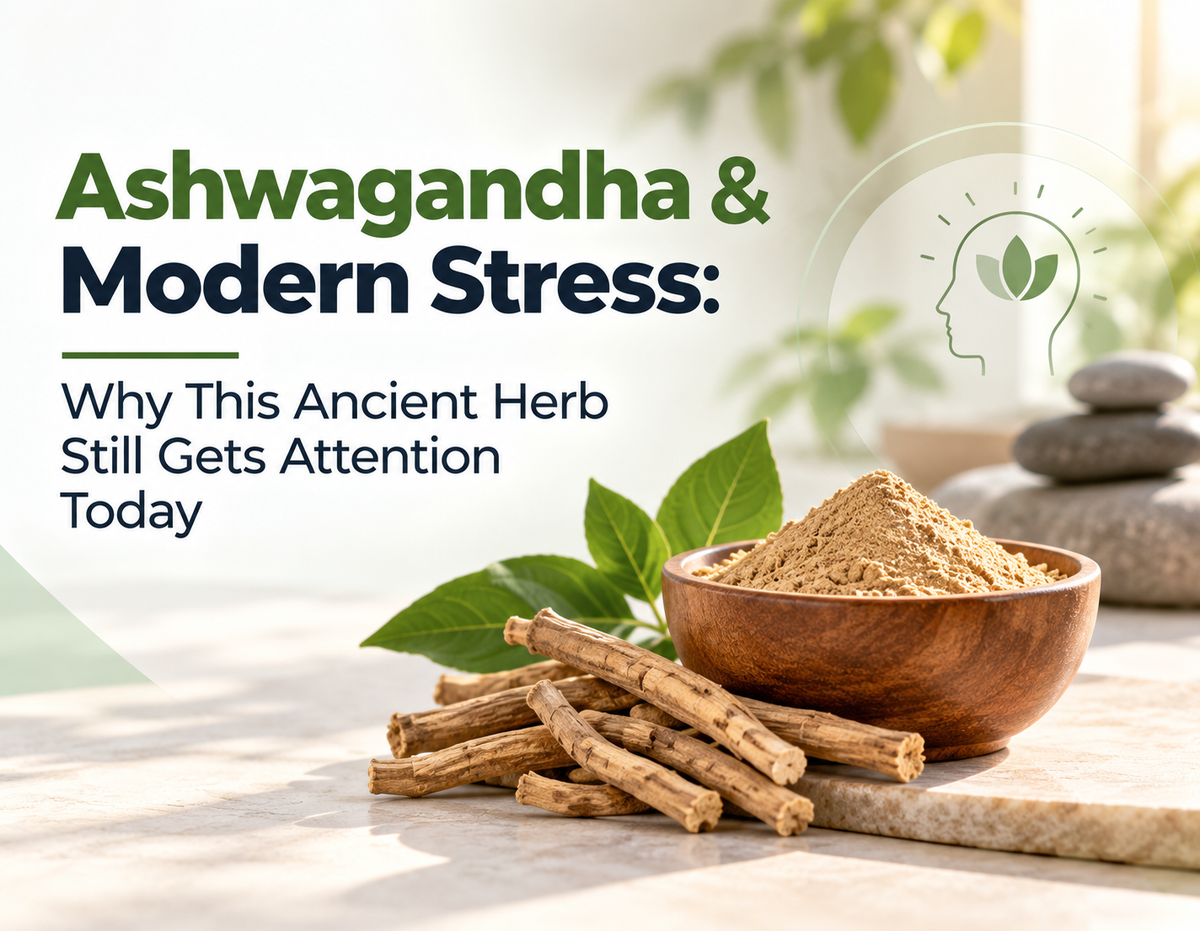 Ashwagandha & Modern Stress: Why This Ancient Herb Still Gets Attention Today