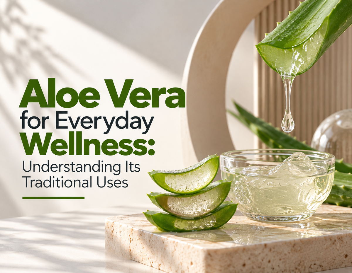 Aloe Vera for Everyday Wellness: Understanding Its Traditional Uses