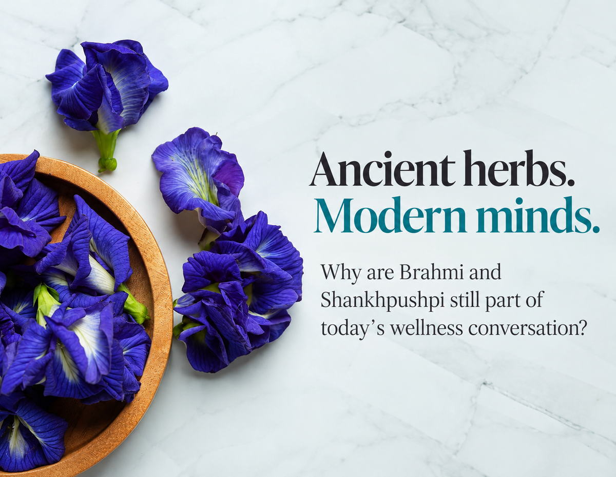 Ancient Herbs. Modern Minds. Why Are Brahmi and Shankhpushpi Still Part of Today’s Wellness Conversation?